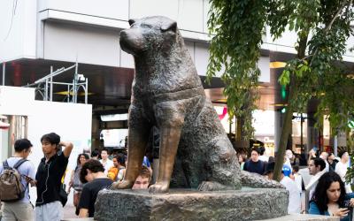 Bronze statue of Hachiko stands front of Shibuya Station