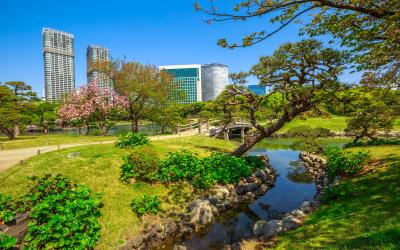 Hamarikyu Gardens, Tokyo, Sumida River, Chuo district, Japan.