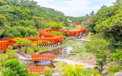 Overall view of Takayama shrine pathway park