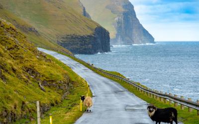 Single Lane Road on Kalsoy Island   Faroe Islands
