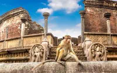 Sri Lanka.Polonnaruwa2small