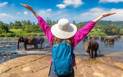 Sri Lanka.Elephantsmall