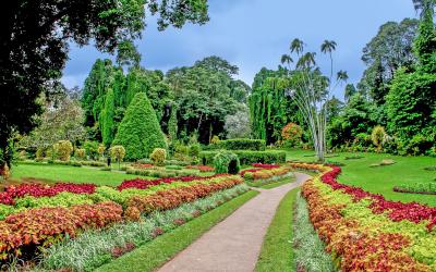 Sri Lanka.Peradeniya2small