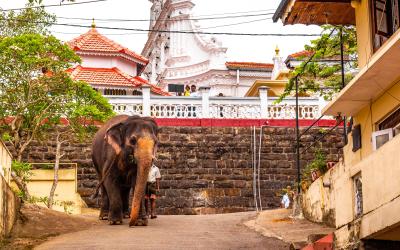 Sri Lanka.Gallesmall