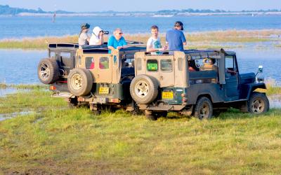 Sri Lanka.Minneriya4small
