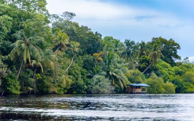 Sri Lanka.Maduriver5small