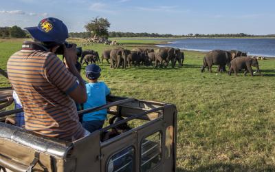 Sri Lanka.Minneriya2small