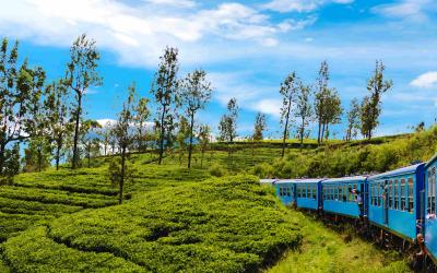 Sri Lanka.train4small