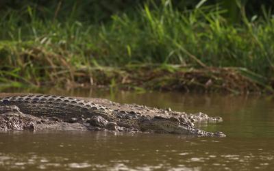 Sri Lanka.Maduriver2small