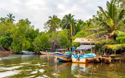 Sri Lanka.Maduriver.small
