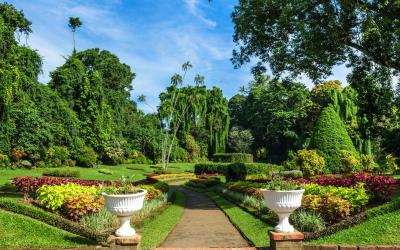 Sri Lanka.Peradeniya1small