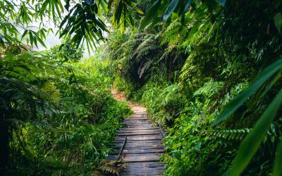 Sri Lanka.Sindharaja11small