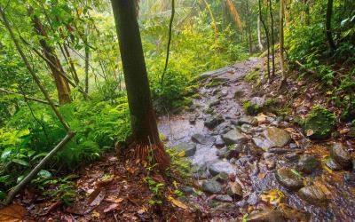 Sri Lanka.Sindharaja6small