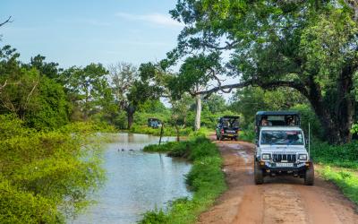 Sri Lanka.Yala10small