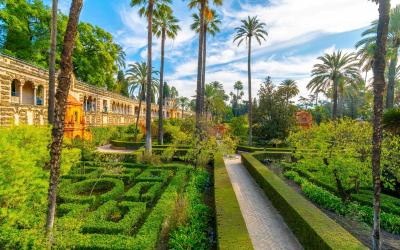 The landscaped gardens of palm trees and manicured grounds inside the Royal Alcázar of Seville Spain.