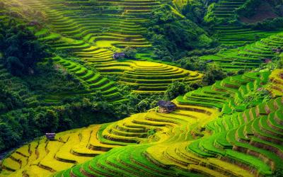 Sapa.Vietnam29 small