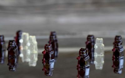 seivamedis. panekelpiu kaimas  10