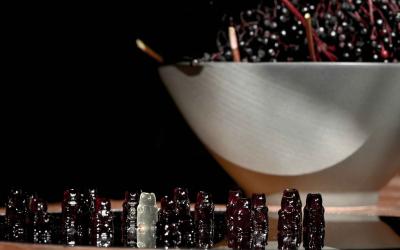 seivamedis. panekelpiu kaimas  27