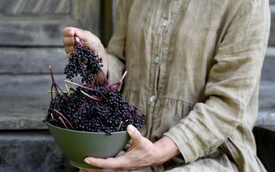 seivamedis. panekelpiu kaimas  29