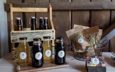 seivamedis   foto edita aleksandraviciene  5  2