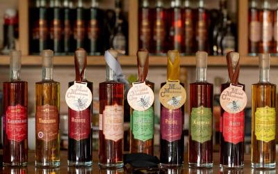 susves midus   foto edita aleksandraviciene   1  1