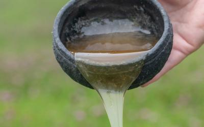 susves midus   foto edita aleksandraviciene   85  5