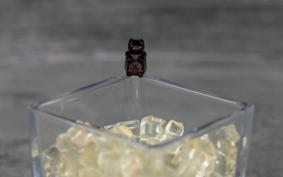 seivamedis. panekelpiu kaimas  13