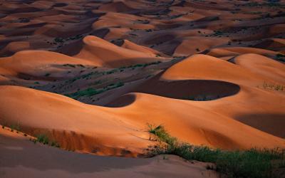 Stunning desert views of the Wahiba Sands, Oman
