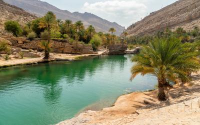 View of the Wadi Bani Khalid oasis in the desert in Sultanate of Oman.