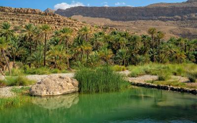 Wadi Bani Khalid in Oman. Oasis in the desert of Oman