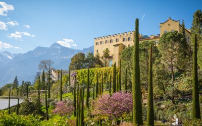 Trautmansdorfo pilies sodai