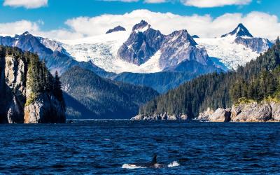 Kenai National Park, Alaska (2)