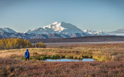 Denali National Park, Alaska