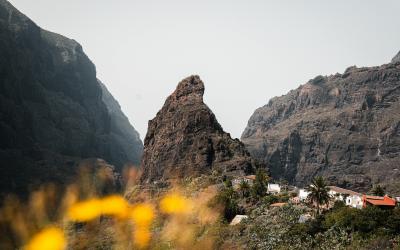 Masca slėnis   Tenerifė
