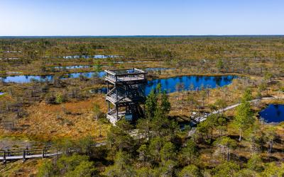 Aerial view shows a multi level wooden observation tower above peat bogs and pools in Kemeri National Park, Latvia,