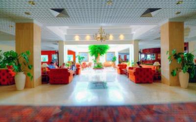 Avlida reception
