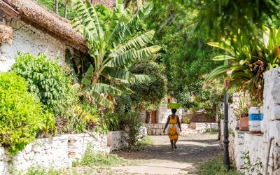 Cicada Velha, Views around Santiago, an island in Cape Verde